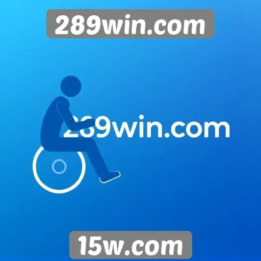 Acessibilidade e interface do 289win.com
